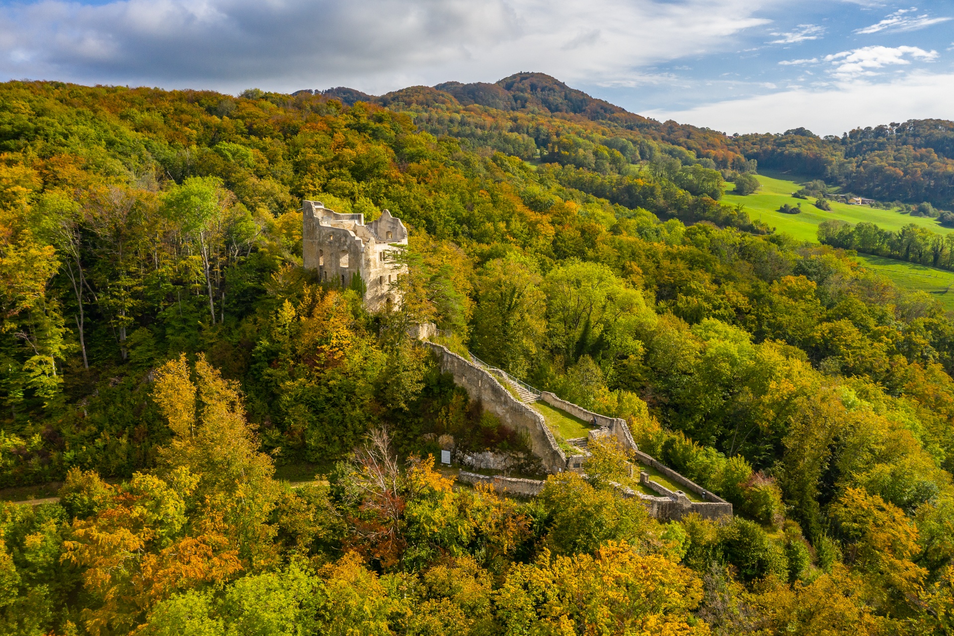 Die Burgruine Homburg aus der Luft, umgeben vom herbstlichen Wald über Läufelfingen